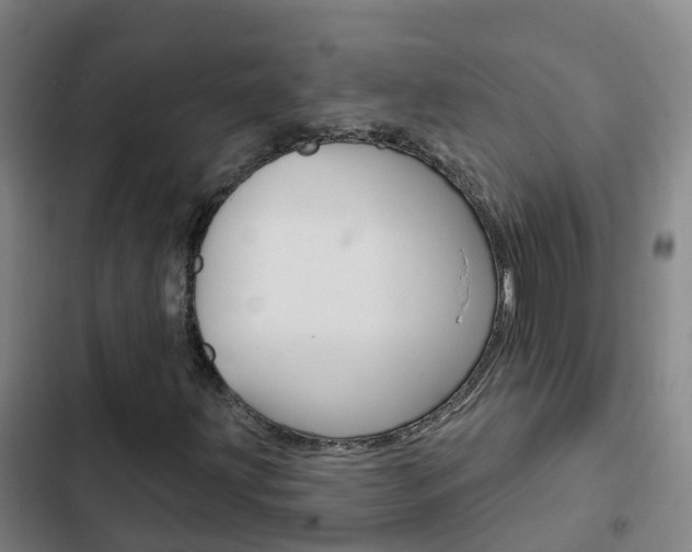 X0000103231203200808280941