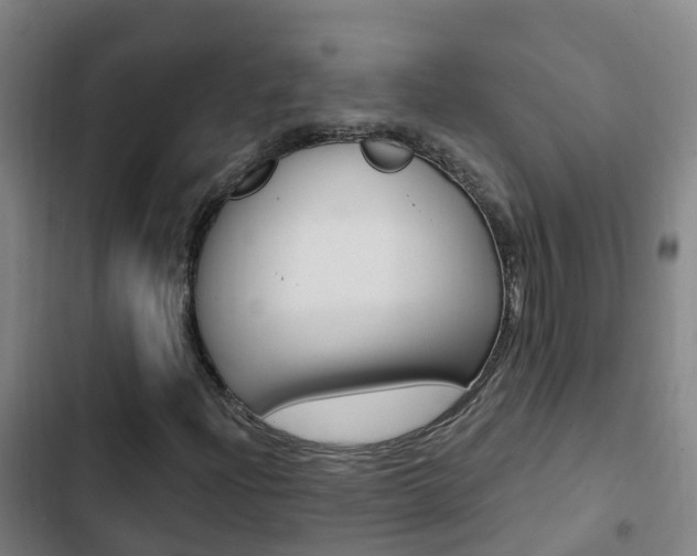 X0000103231204200808280941