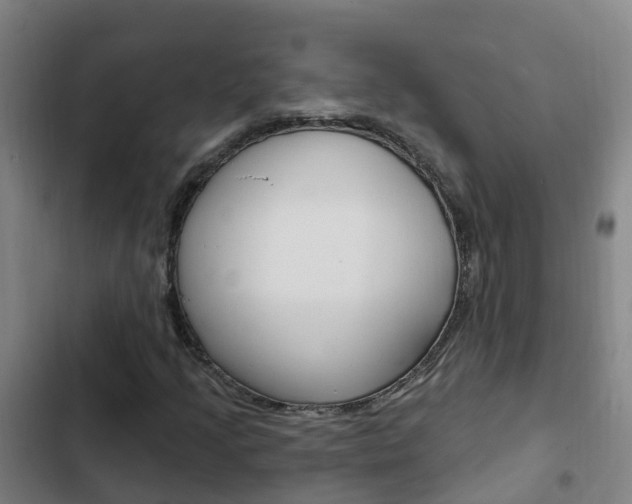 X0000103231205200808280942