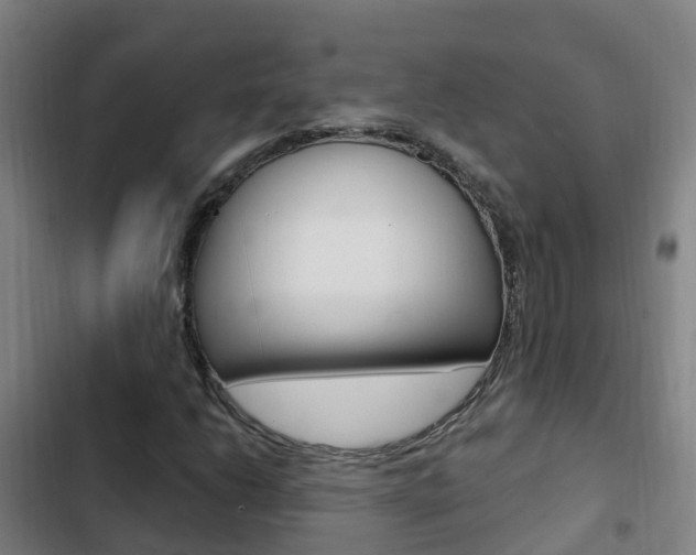 X0000103231206200808280942