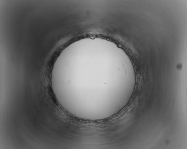 X0000103231207200808280942