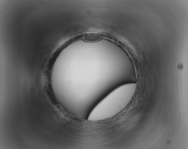 X0000103231208200808280942