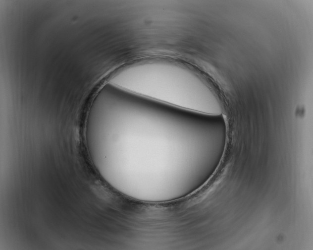 X0000103231209200808280942