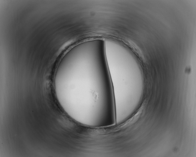 X0000103231210200808280942