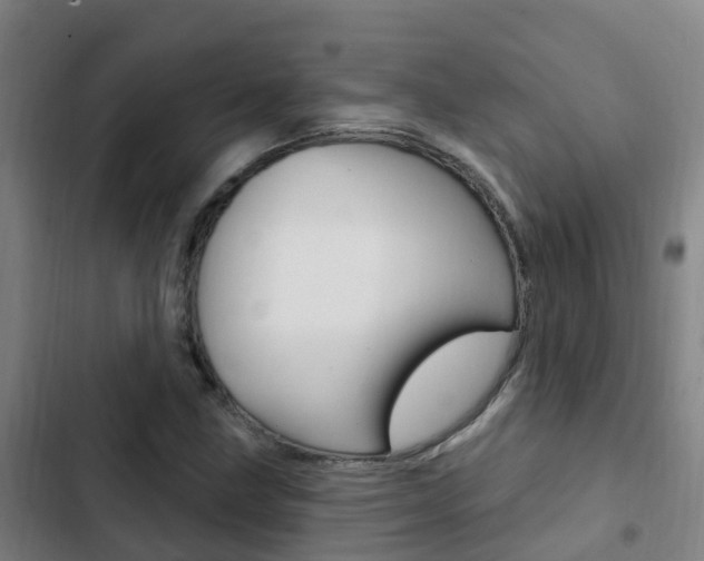 X0000103231211200808280942