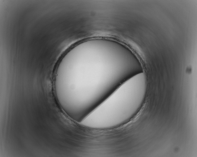 X0000103231212200808280942