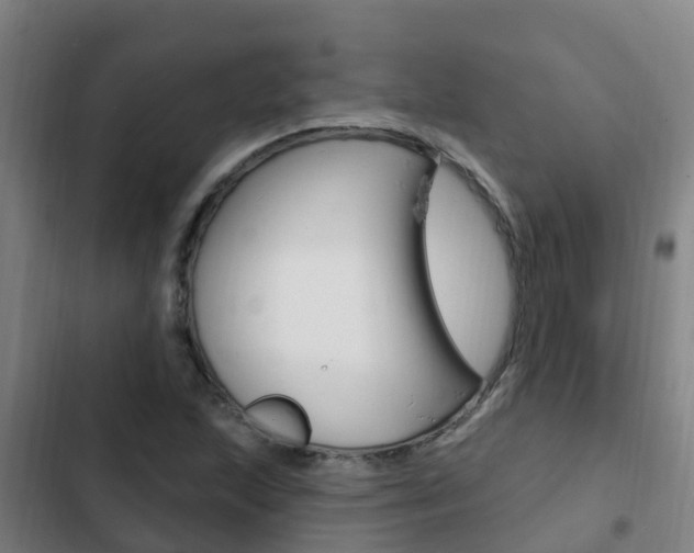 X0000103231215200808280942