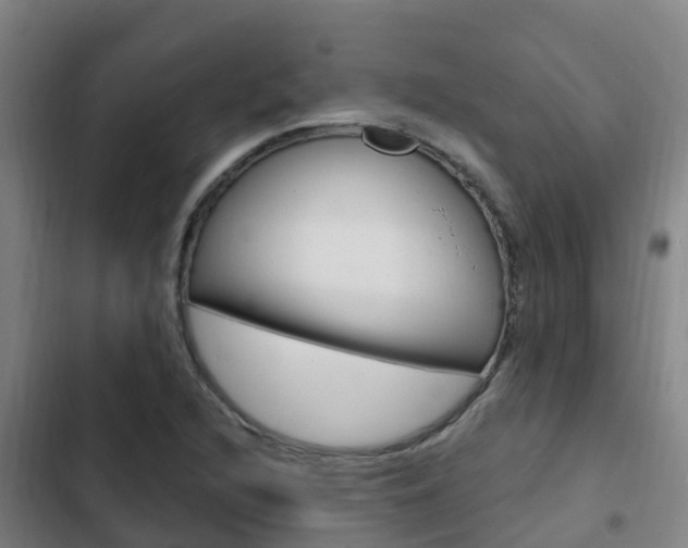 X0000103231216200808280942