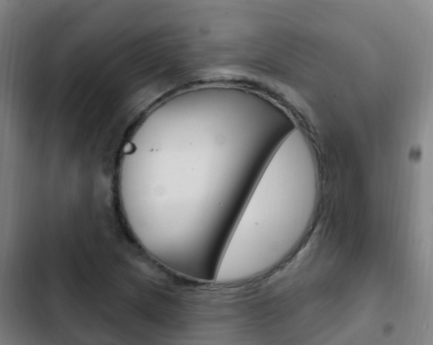 X0000103231217200808280942