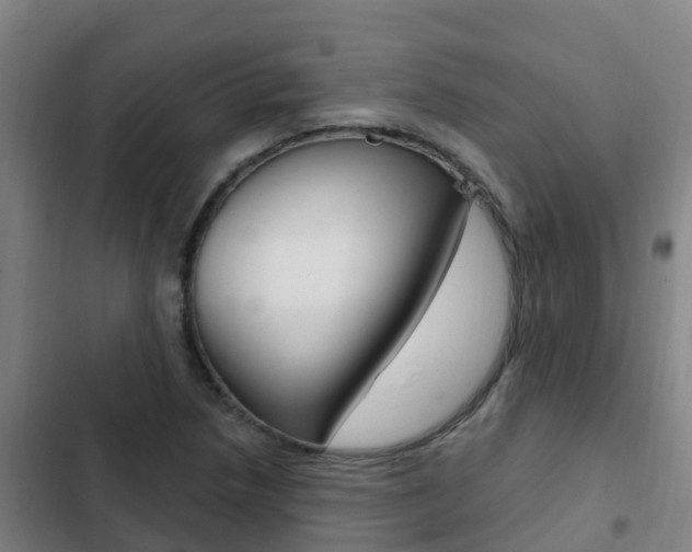 X0000103231218200808280942