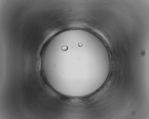 X0000103231219200808280942
