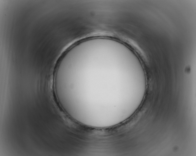 X0000103231220200808280942