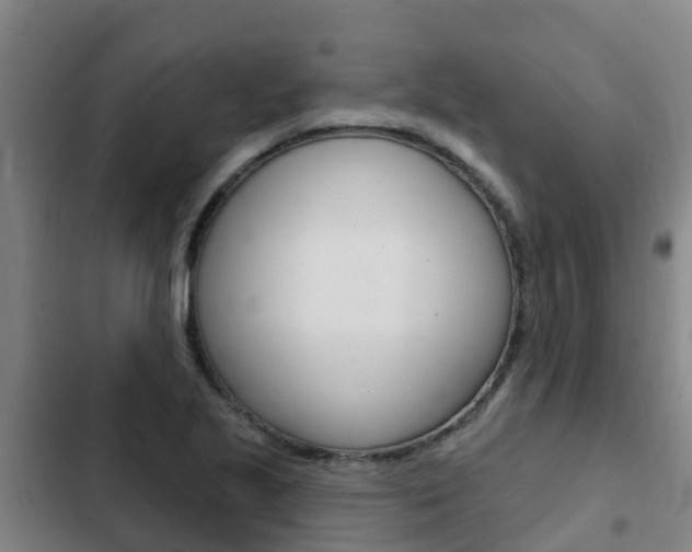 X0000103231221200808280942
