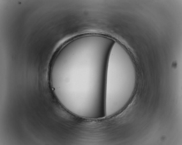 X0000103231222200808280942