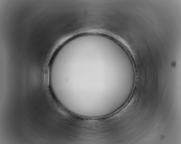 X0000103231223200808280942