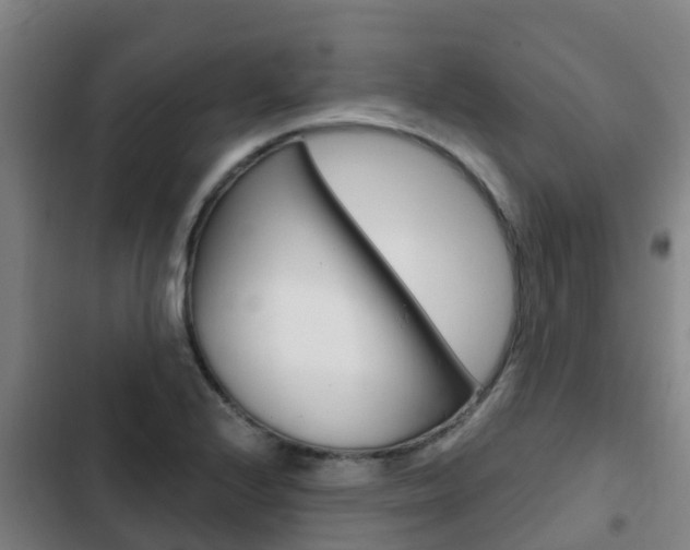 X0000103231224200808280942