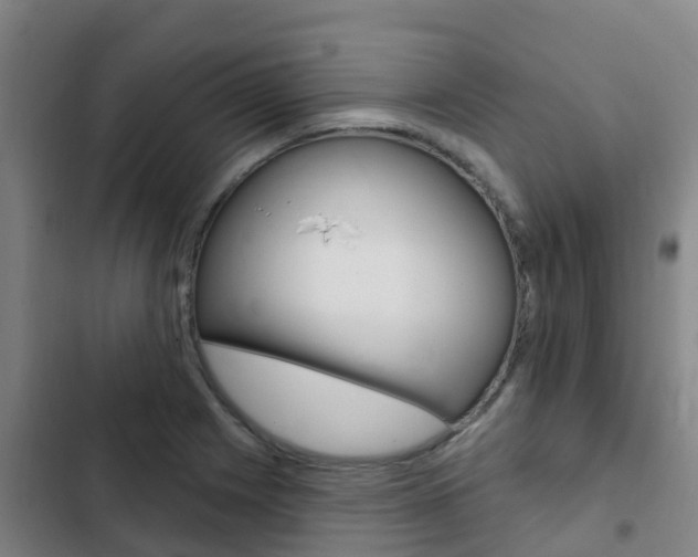 X0000103231225200808280942