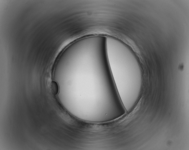 X0000103231226200808280942