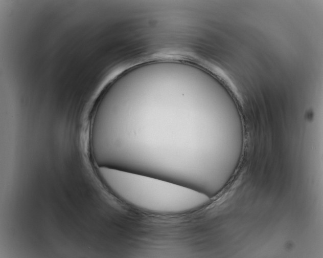 X0000103231227200808280942