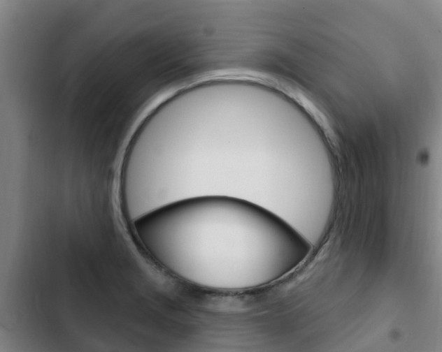 X0000103231229200808280942