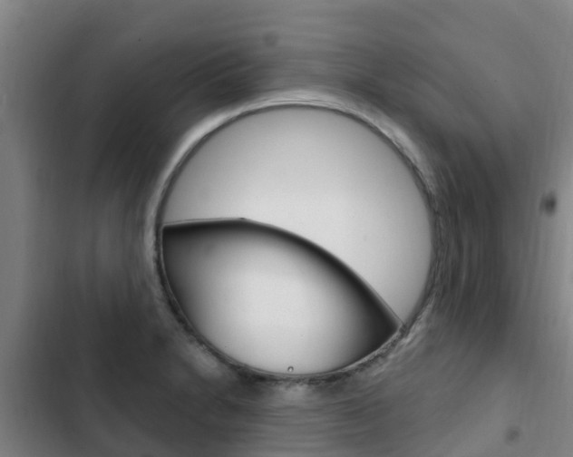 X0000103231230200808280942