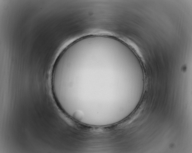 X0000103231231200808280942