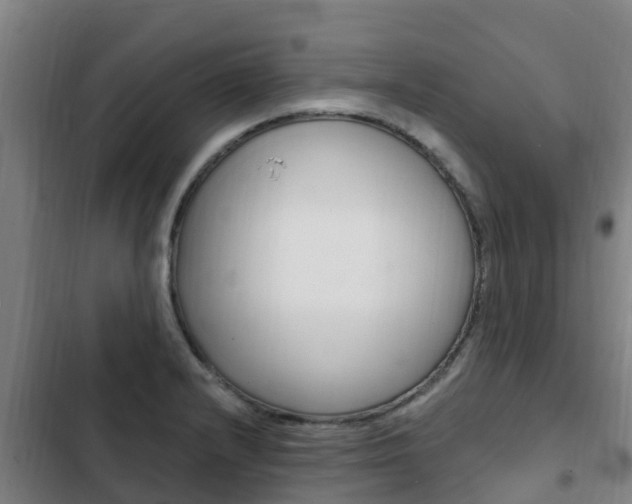 X0000103231232200808280942