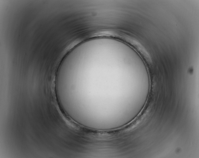 X0000103231233200808280942