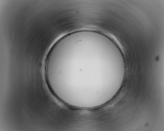X0000103231235200808280942