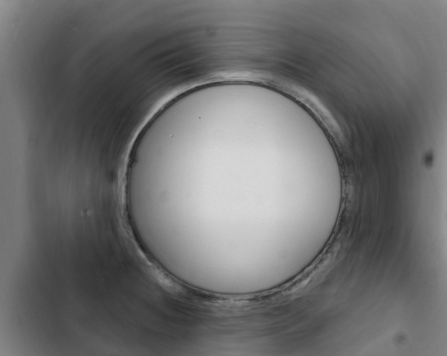 X0000103231236200808280942