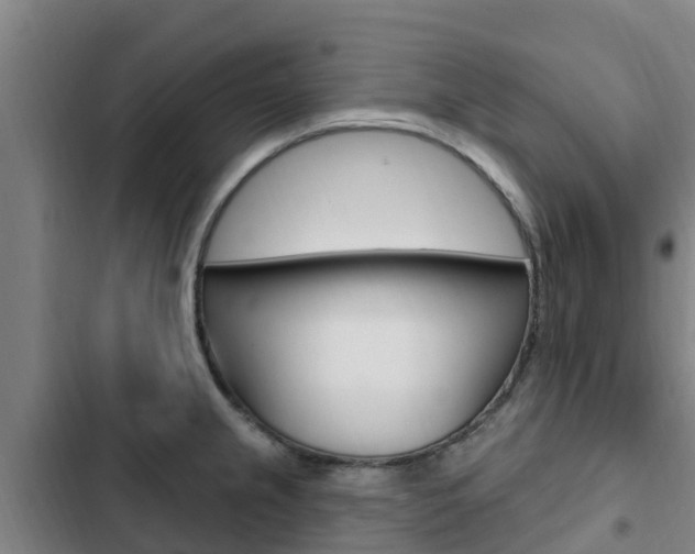 X0000103231237200808280942