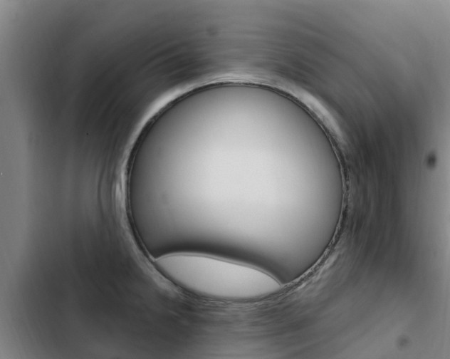 X0000103231238200808280942