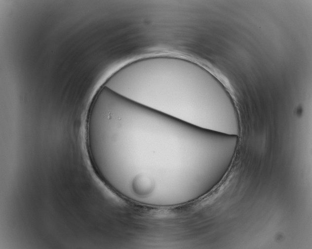 X0000103231239200808280942