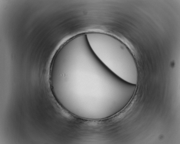 X0000103231240200808280942