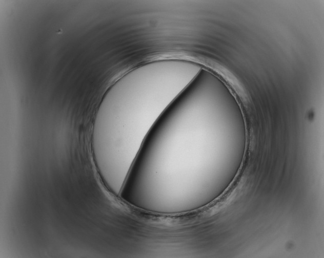 X0000103231241200808280942