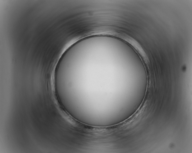 X0000103231242200808280942