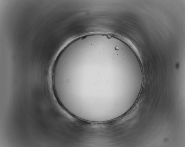 X0000103231243200808280942