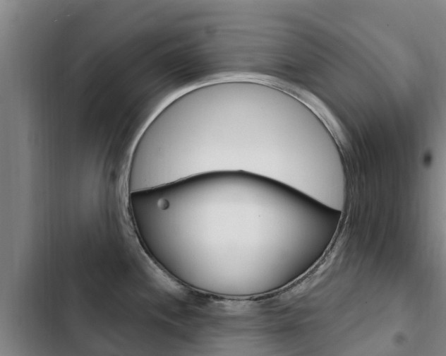 X0000103231244200808280942
