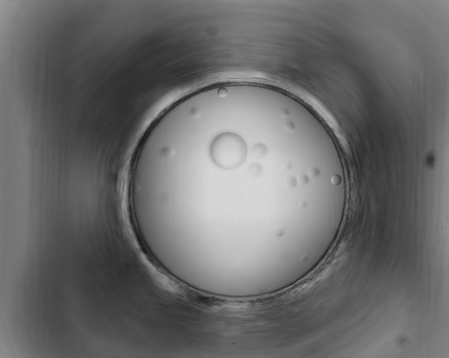 X0000103231245200808280942