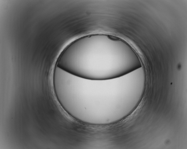 X0000103231246200808280942
