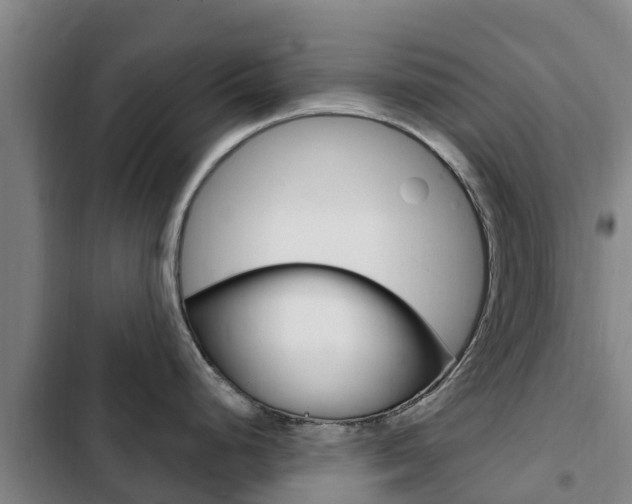 X0000103231248200808280942