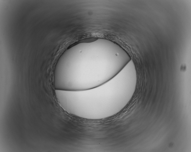 X0000103231249200808280941