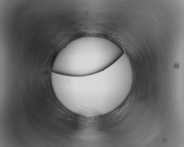 X0000103231251200808280941