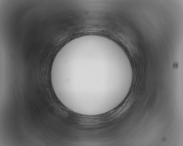 X0000103231252200808280941
