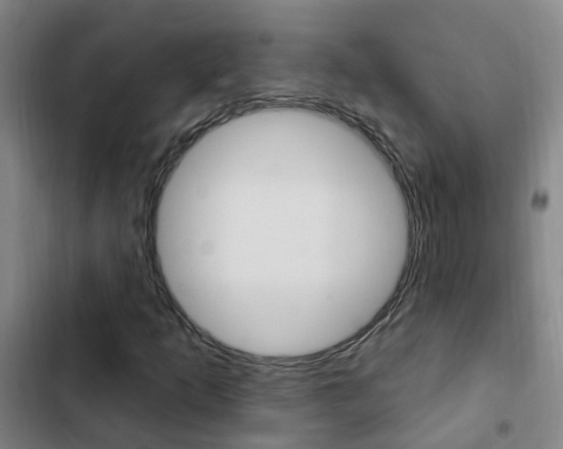 X0000103231253200808280941