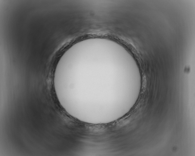 X0000103231254200808280941