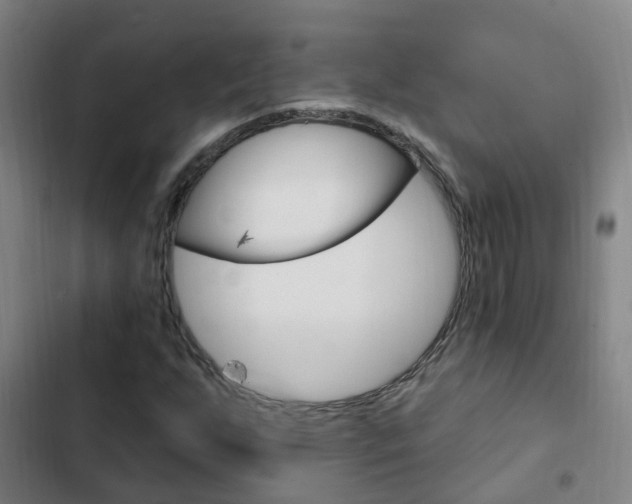 X0000103231255200808280941
