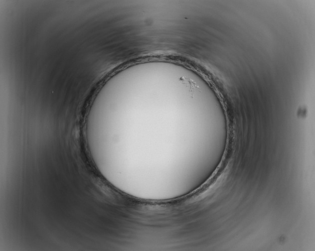 X0000103231257200808280941
