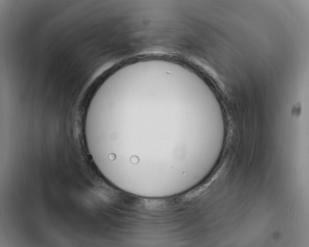 X0000103231258200808280941