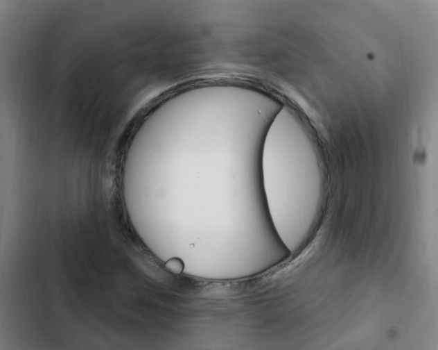 X0000103231259200808280941